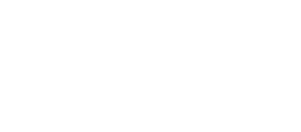 Logo de l'APPS blanc